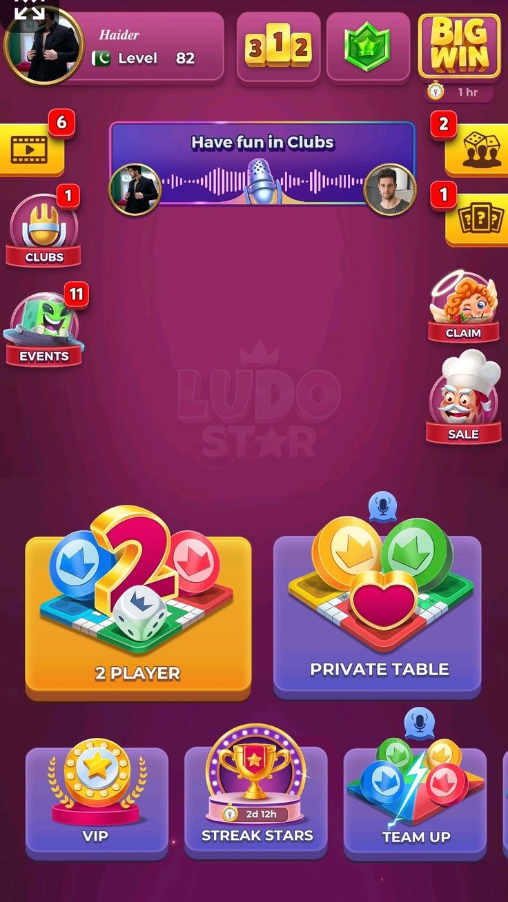 12Coins game